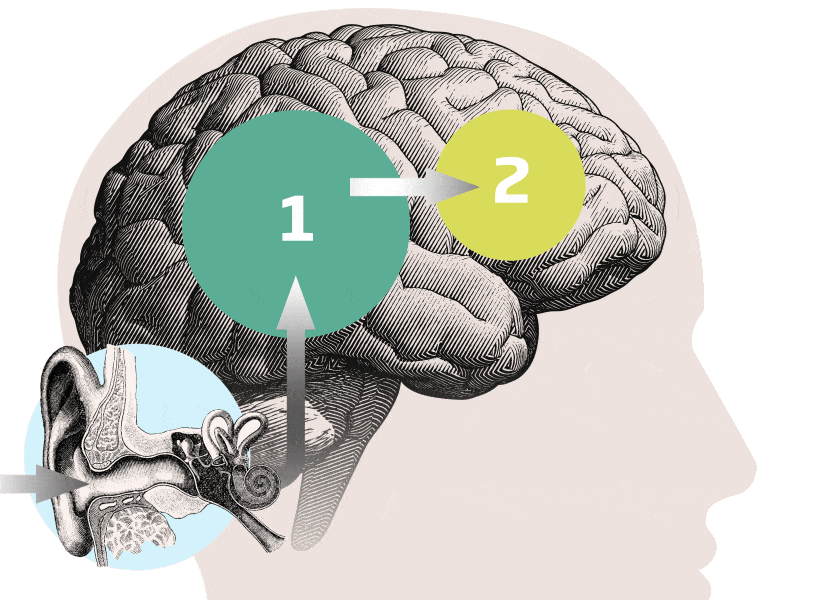 Tehnologia BrainHearing